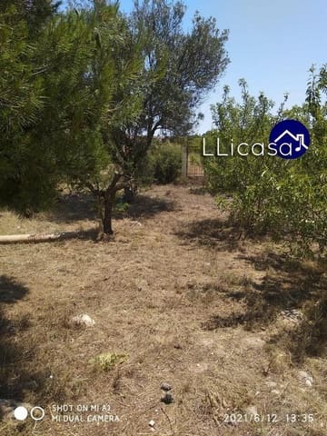 Building Plot for sale in Llíria - € 75,000 (Ref: 9396173)