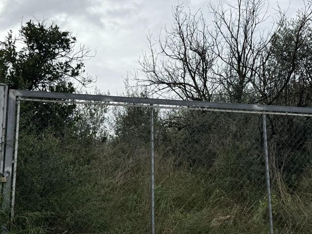 Terreno/Finca Rústica en Vilamarxant / Villamarchante en venta - 10.000 € (Ref: 9470544)