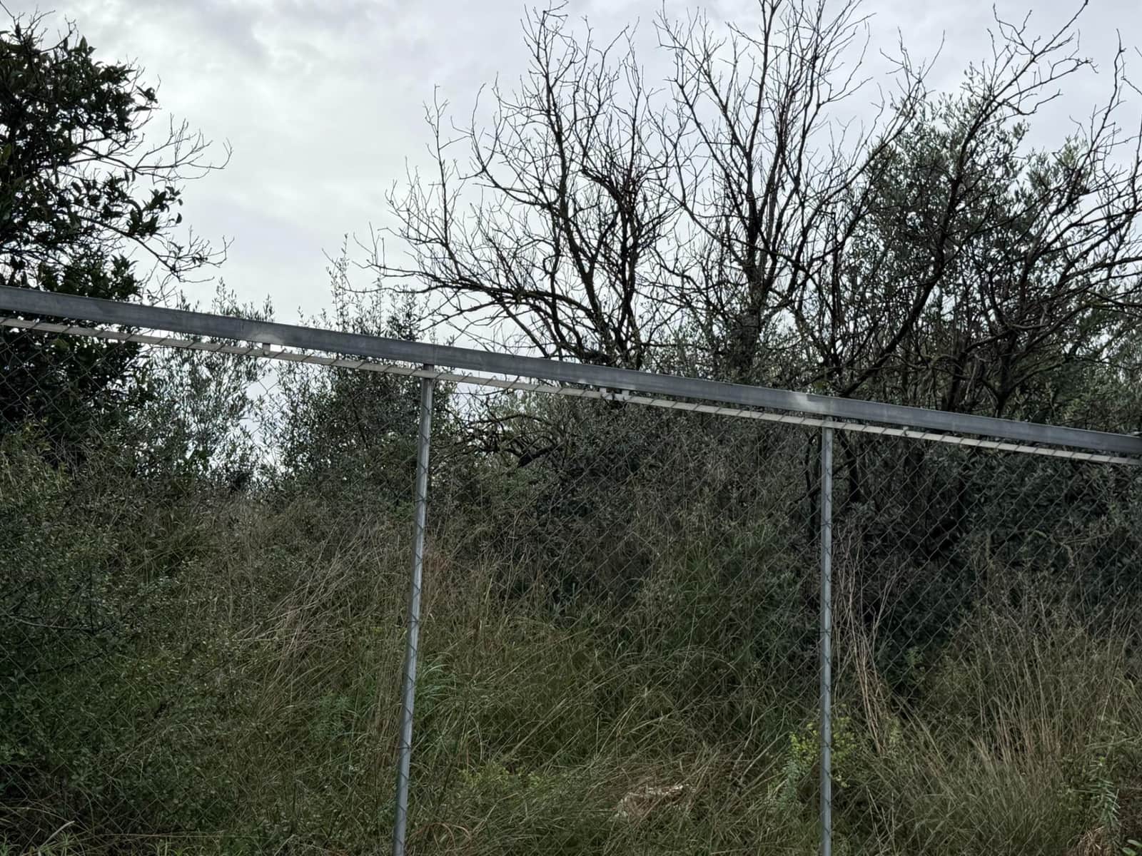 Terreno/Finca Rústica en Vilamarxant / Villamarchante en venta - 10.000 € (Ref: 9470544)