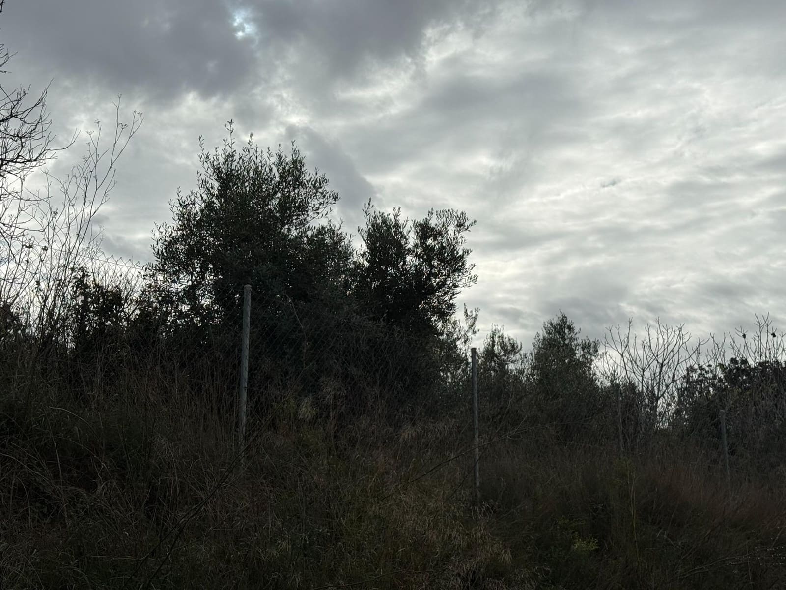 Terreno/Finca Rústica en Vilamarxant / Villamarchante en venta - 10.000 € (Ref: 9470544)