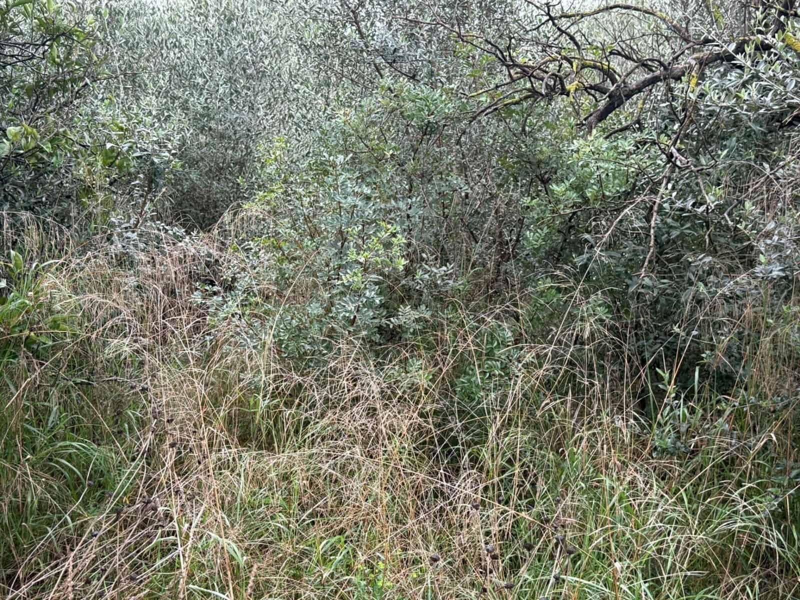 Terreno/Finca Rústica en Vilamarxant / Villamarchante en venta - 10.000 € (Ref: 9470544)