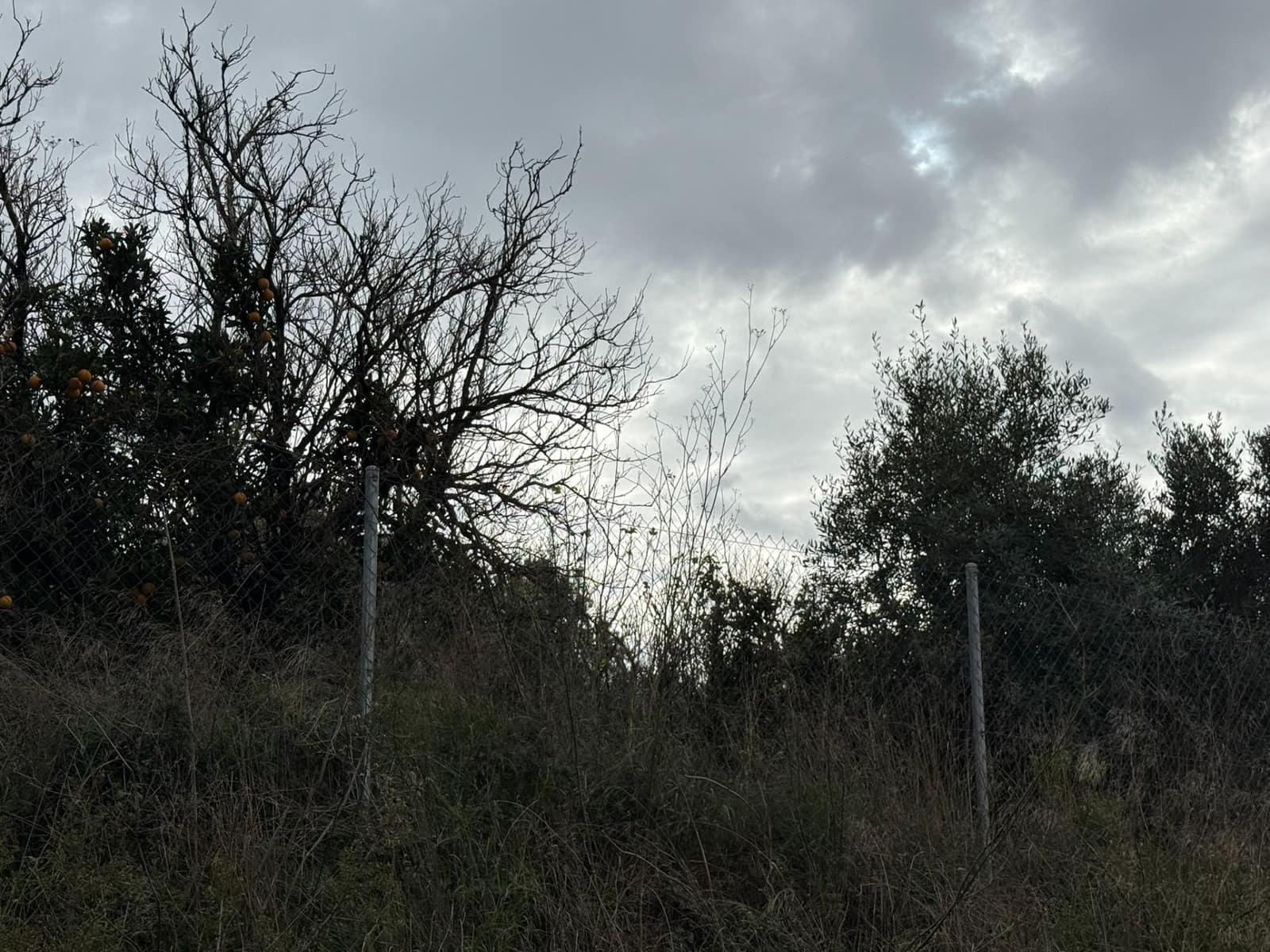 Terreno/Finca Rústica en Vilamarxant / Villamarchante en venta - 10.000 € (Ref: 9470544)