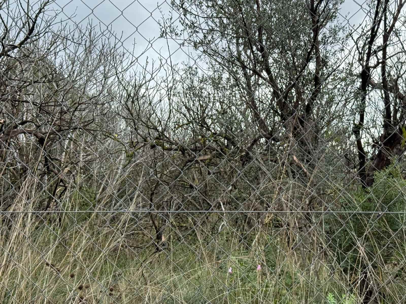 Terreno/Finca Rústica en Vilamarxant / Villamarchante en venta - 10.000 € (Ref: 9470544)