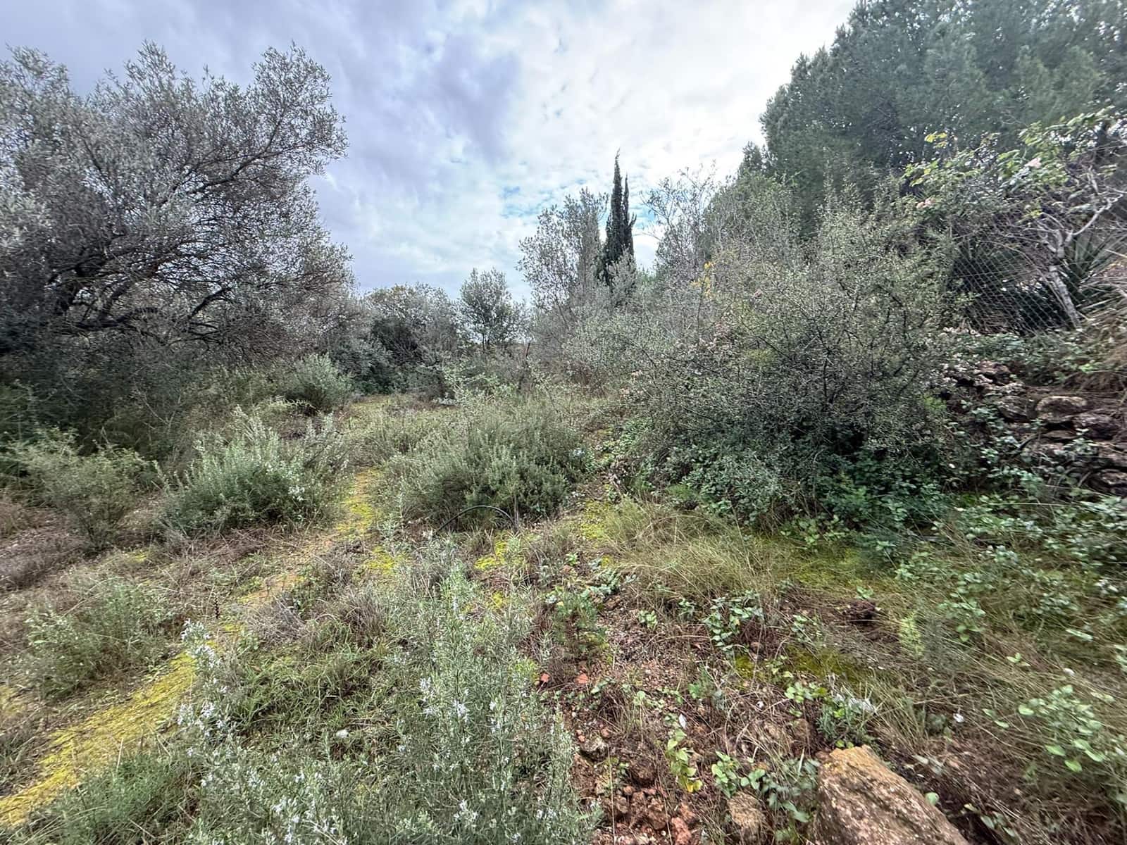 Terreno/Finca Rústica en Vilamarxant / Villamarchante en venta - 5.000 € (Ref: 9470545)