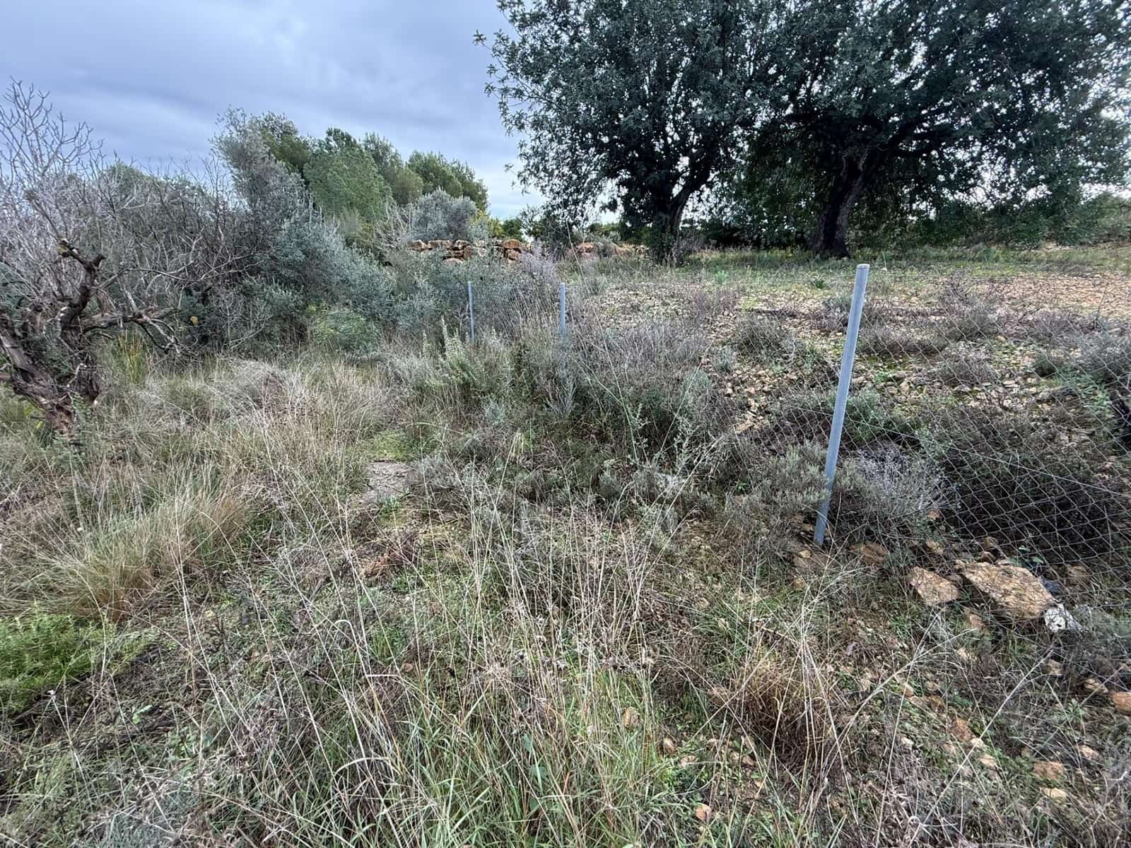 Terreno/Finca Rústica en Vilamarxant / Villamarchante en venta - 5.000 € (Ref: 9470545)