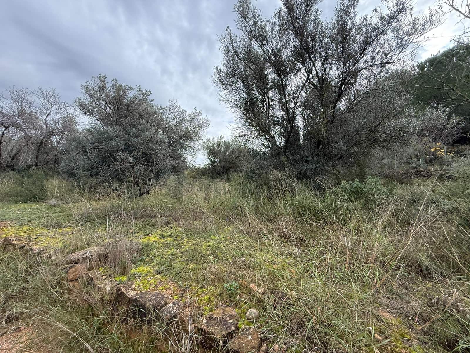Terreno/Finca Rústica en Vilamarxant / Villamarchante en venta - 5.000 € (Ref: 9470545)