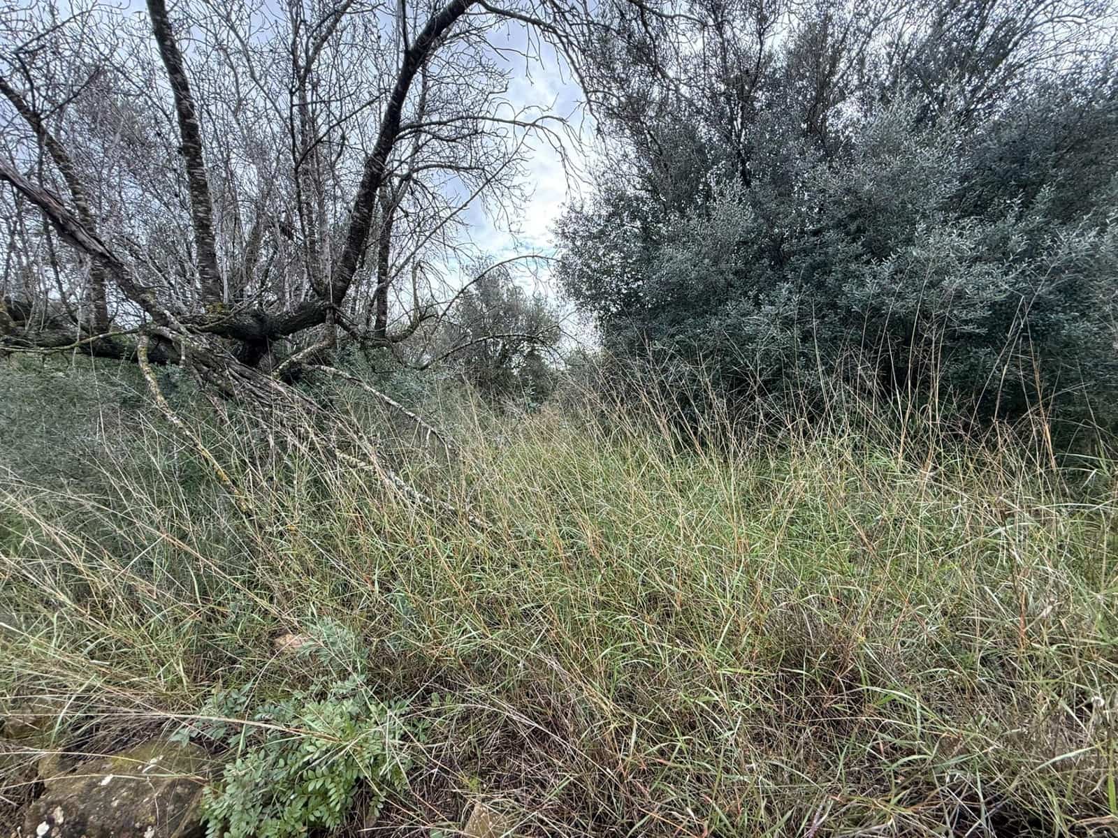 Terreno/Finca Rústica en Vilamarxant / Villamarchante en venta - 5.000 € (Ref: 9470545)