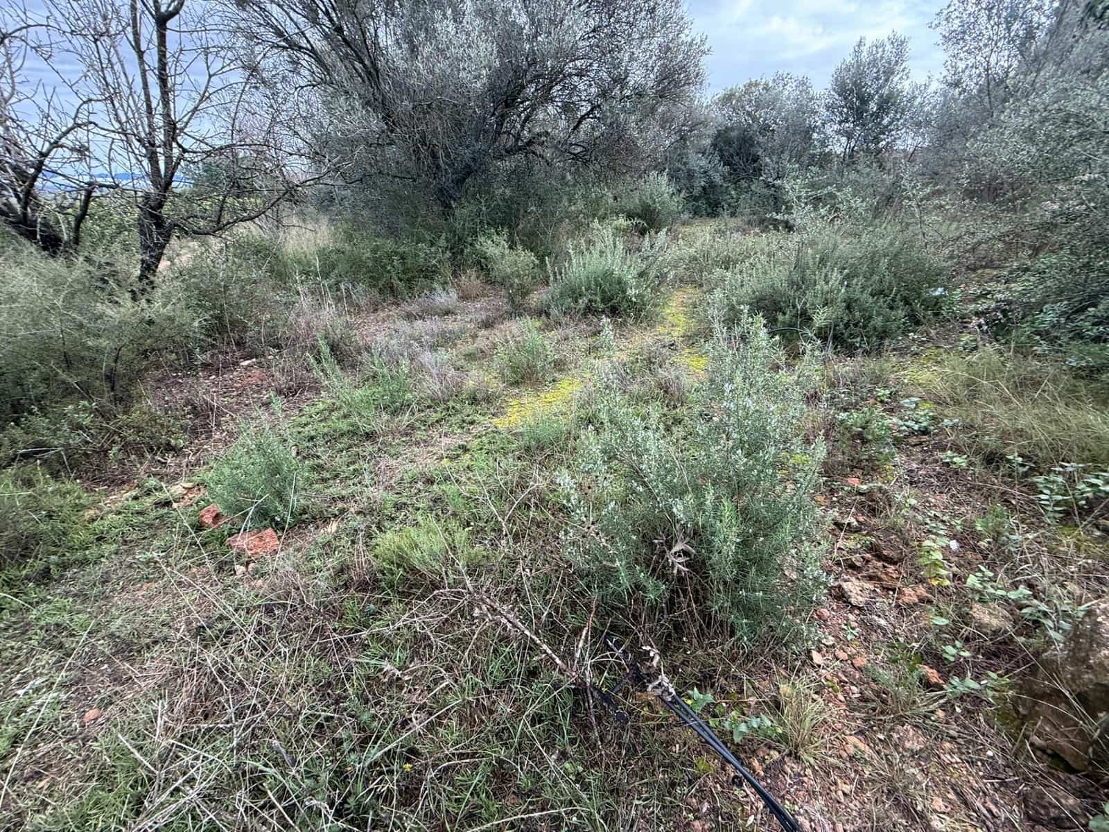 Terreno/Finca Rústica en Vilamarxant / Villamarchante en venta - 5.000 € (Ref: 9470545)