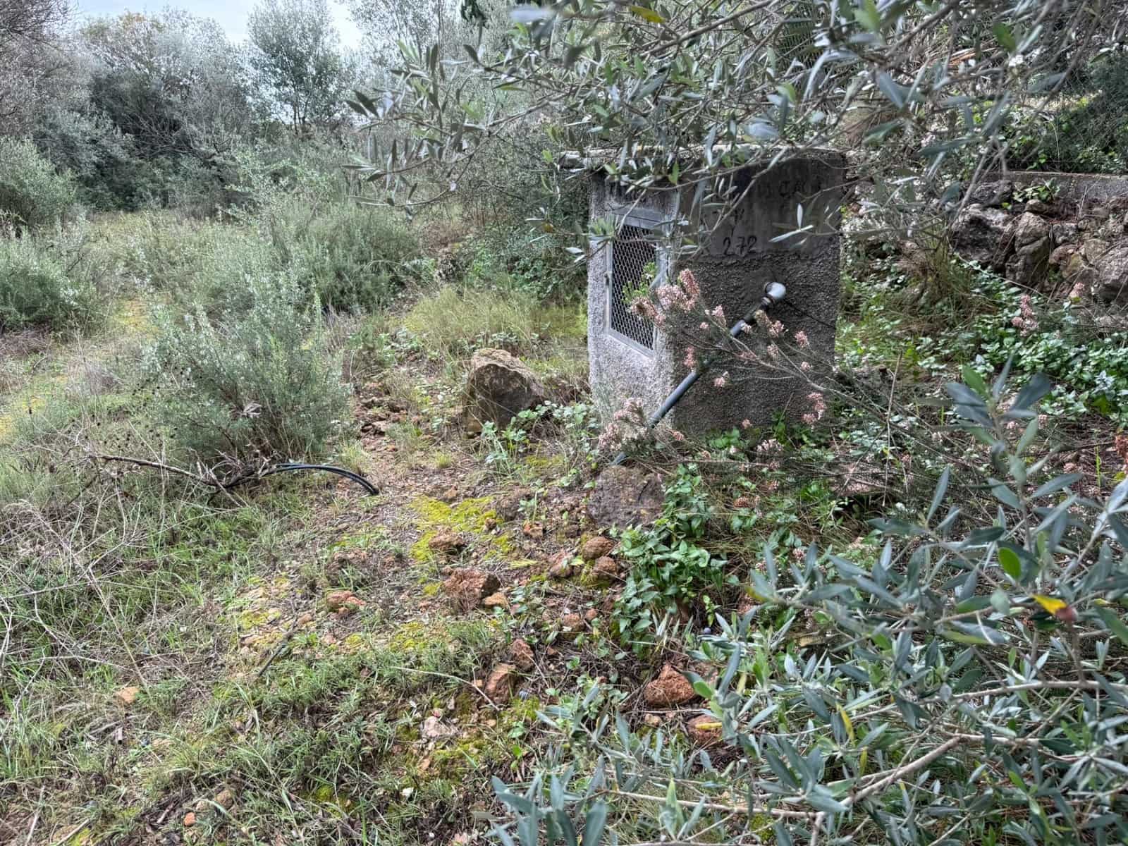 Terreno/Finca Rústica en Vilamarxant / Villamarchante en venta - 5.000 € (Ref: 9470545)