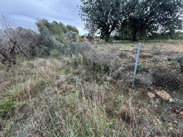 Terreno/Finca Rústica en Vilamarxant / Villamarchante en venta - 5.000 € (Ref: 9470545)