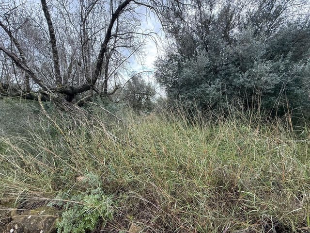 Terreno/Finca Rústica en Vilamarxant / Villamarchante en venta - 5.000 € (Ref: 9470545)