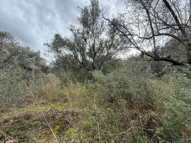 Terreno/Finca Rústica en Vilamarxant / Villamarchante en venta - 5.000 € (Ref: 9470545)