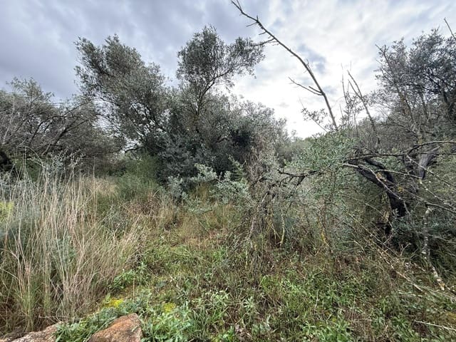 Terreno/Finca Rústica en Vilamarxant / Villamarchante en venta - 5.000 € (Ref: 9470545)