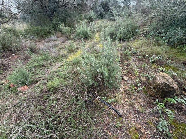 Terreno/Finca Rústica en Vilamarxant / Villamarchante en venta - 5.000 € (Ref: 9470545)