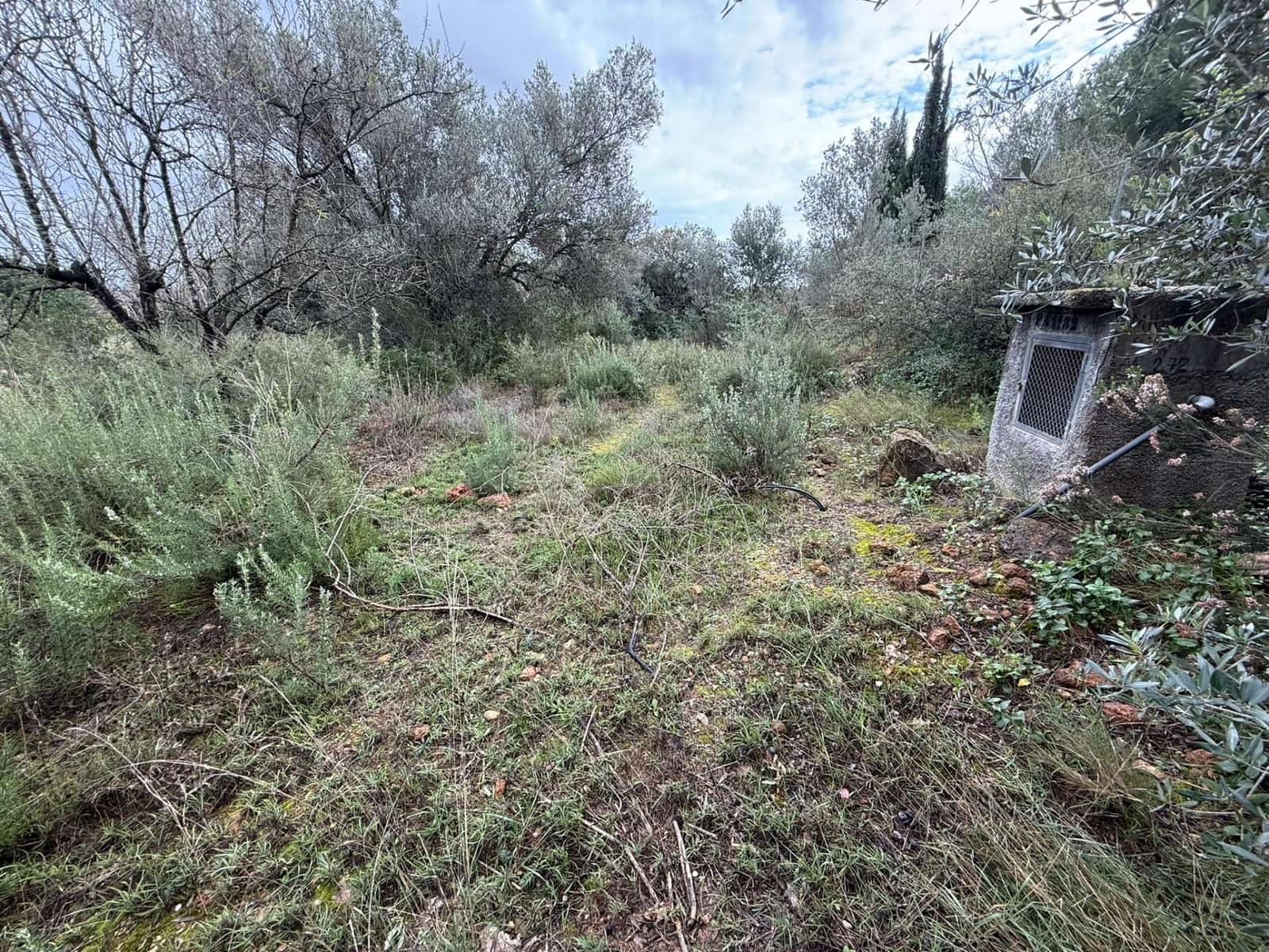 Terreno/Finca Rústica en Vilamarxant / Villamarchante en venta - 5.000 € (Ref: 9470545)