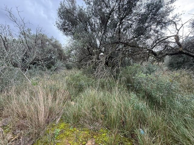 Terreno/Finca Rústica en Vilamarxant / Villamarchante en venta - 5.000 € (Ref: 9470545)