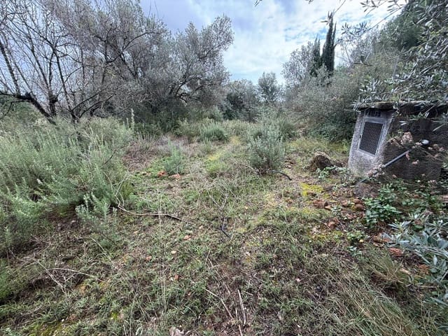 Terreno/Finca Rústica en Vilamarxant / Villamarchante en venta - 5.000 € (Ref: 9470545)
