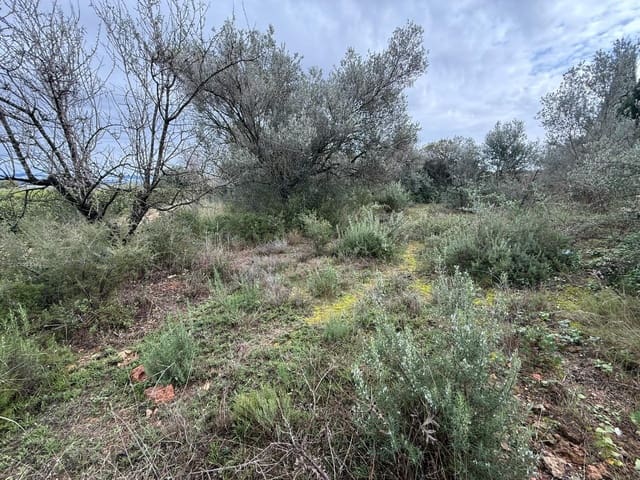 Terreno/Finca Rústica en Vilamarxant / Villamarchante en venta - 5.000 € (Ref: 9470545)