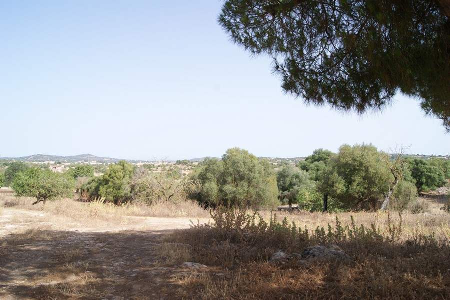 Teren niezagospodarowany na sprzedaż w Sant Llorenc des Cardassar - 2 200 000 € (Ref: 3018109)