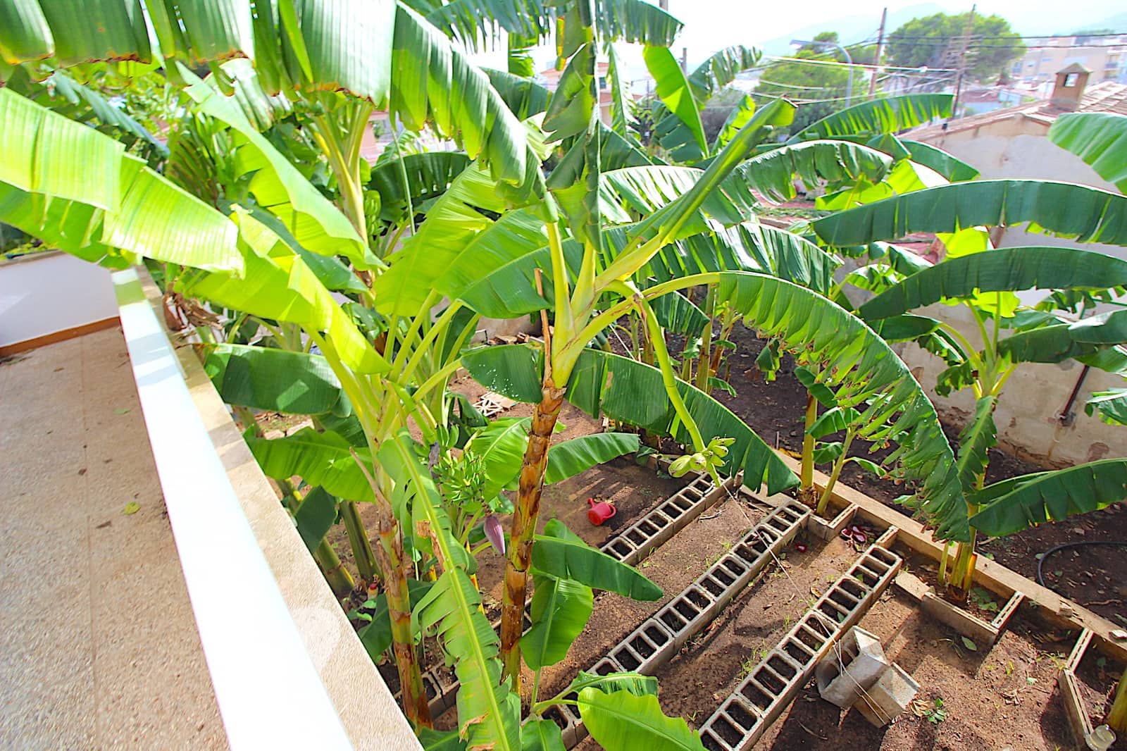 6 soverom Hus til salgs i Cala Ratjada med garasje - € 530 000 (Ref: 6342757)