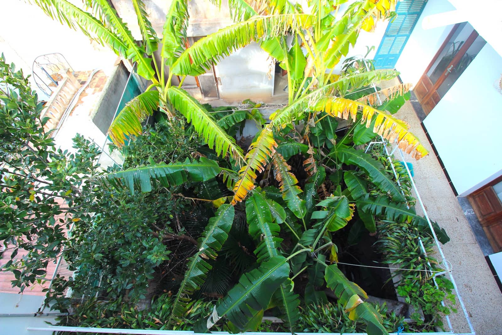 52 soverom Hus til salgs i Cala Ratjada med garasje - € 480 000 (Ref: 7401884)