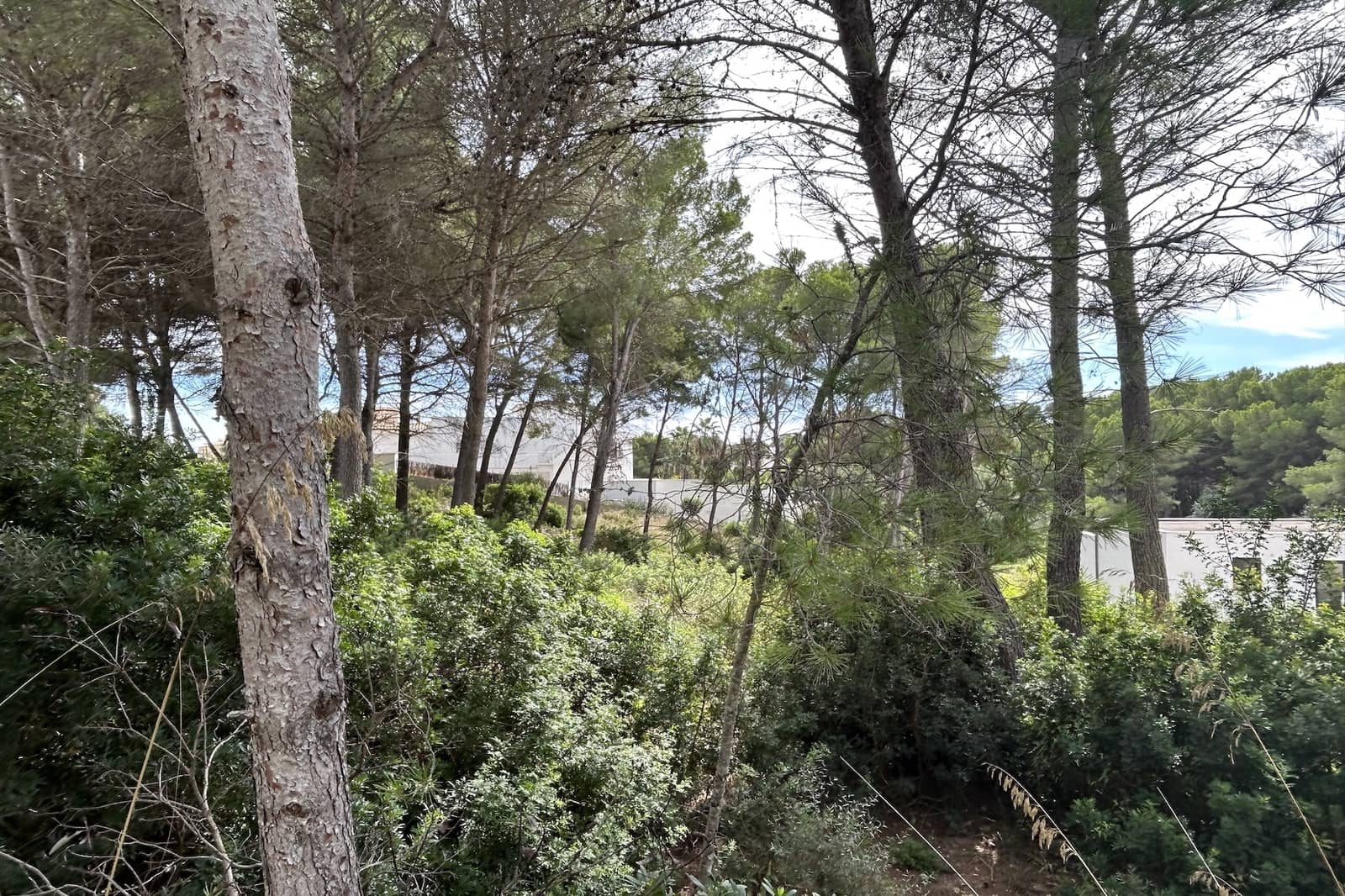 Byggegrund til salg i Font de Sa Cala / Font de La Cala - € 350.000 (Ref: 7816371)