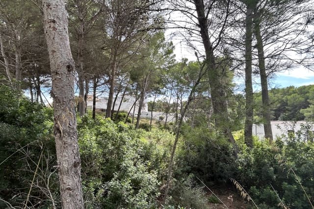 Tomt till salu i Font de Sa Cala / Font de La Cala, Capdepera - 350 000 € (Ref: 7816371)