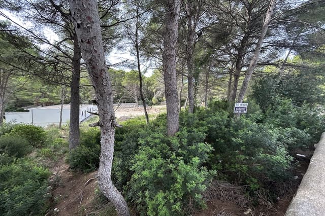 Tomt till salu i Font de Sa Cala / Font de La Cala, Capdepera - 350 000 € (Ref: 7816371)