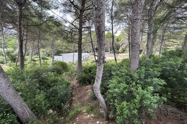 Tomt till salu i Font de Sa Cala / Font de La Cala, Capdepera - 350 000 € (Ref: 7816371)