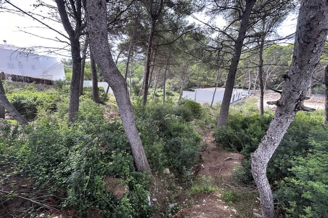 Tomt till salu i Font de Sa Cala / Font de La Cala, Capdepera - 350 000 € (Ref: 7816371)