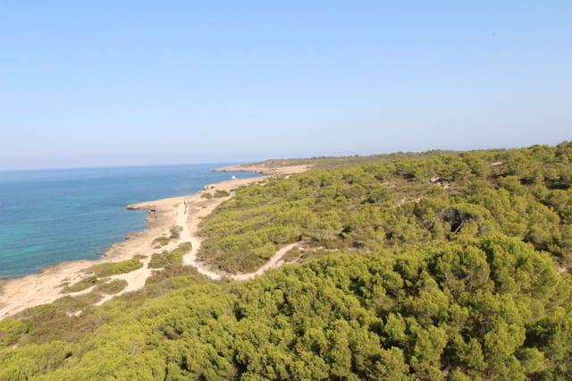 2 chambre Penthouse à vendre à Cala Millor, Son Servera avec piscine - 410 000 € (Ref: 8458755)