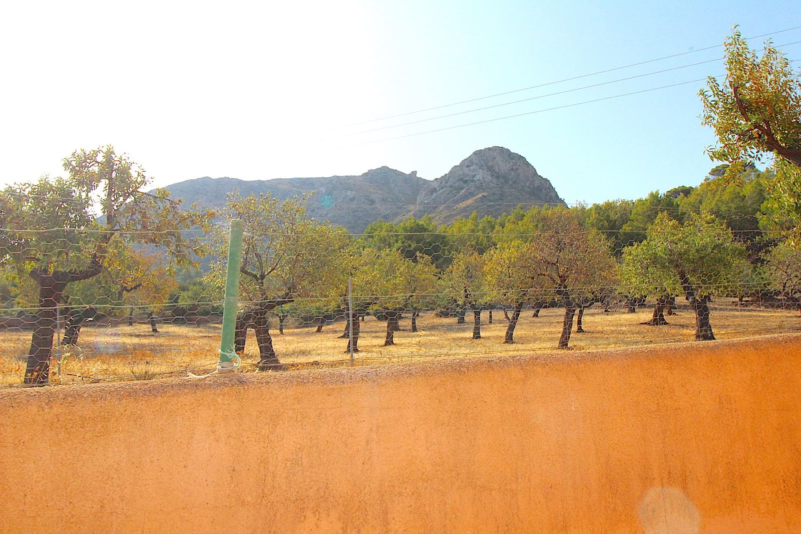 7 soveværelse Finca/Landehus til salg i Arta med swimmingpool garage - € 5.000.000 (Ref: 8510431)