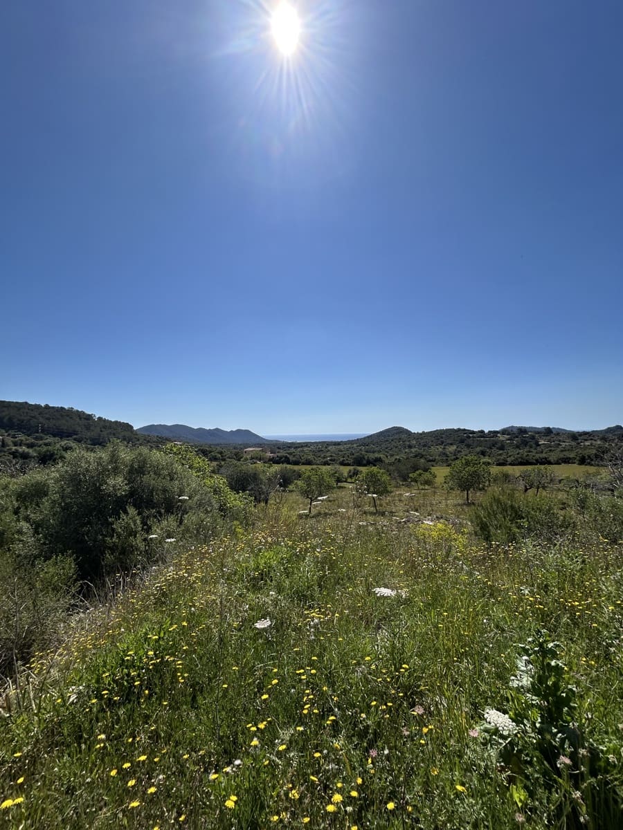 3 camera da letto Finca/Casa di Campagna in vendita in Son Servera con garage - 1.585.000 € (Rif: 8956238)