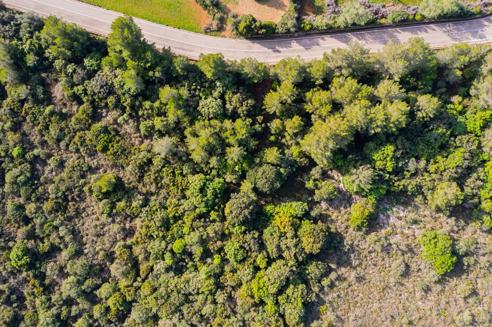 Finca/Landehus til salg i Canyamel - € 790.000 (Ref: 9200818)