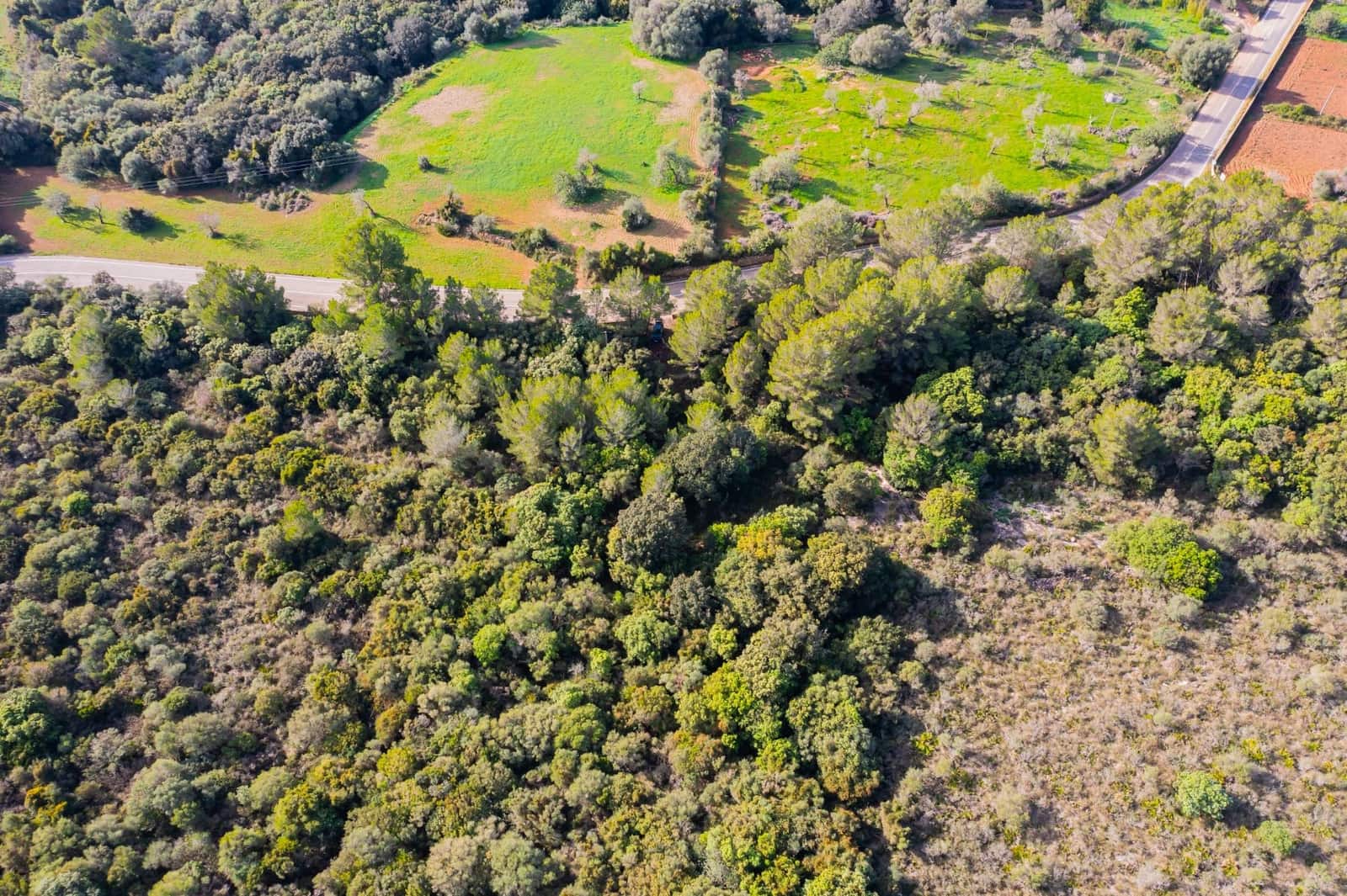 Finca/Landehus til salg i Canyamel - € 790.000 (Ref: 9200818)