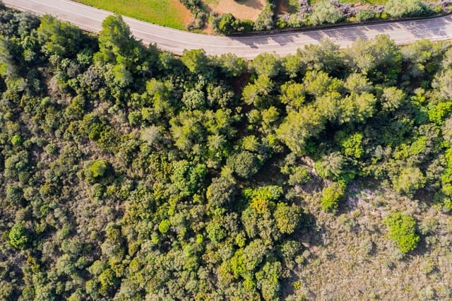 Maalaistalo myytävänä paikassa Canyamel, Capdepera - 790 000 € (Ref: 9200818)