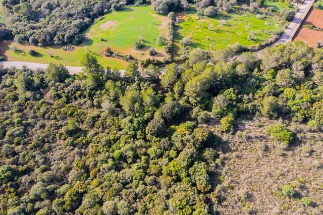 Maalaistalo myytävänä paikassa Canyamel, Capdepera - 790 000 € (Ref: 9200818)