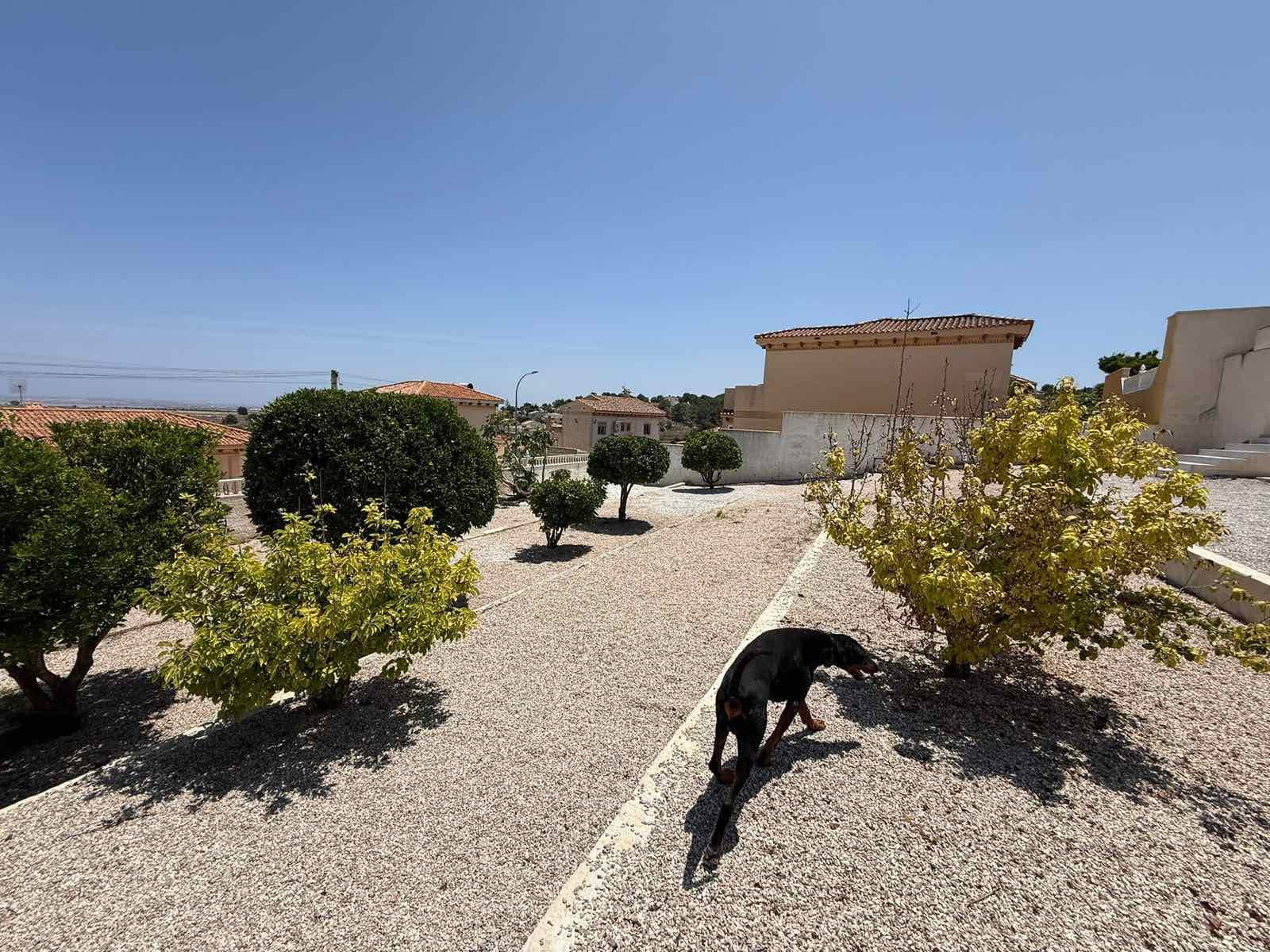 5 slaapkamer Villa te koop in Villamartin met zwembad garage - € 599.000 (Ref: 9398775)