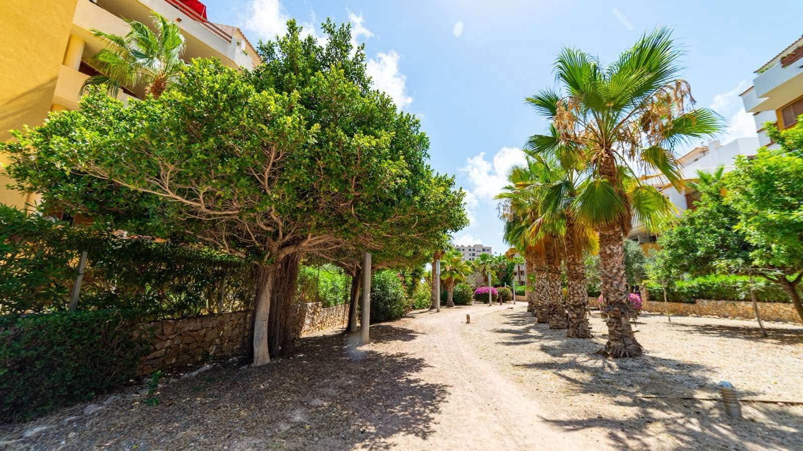 2 quarto Apartamento para venda em Playa Flamenca com piscina garagem - 259 000 € (Ref: 9398777)