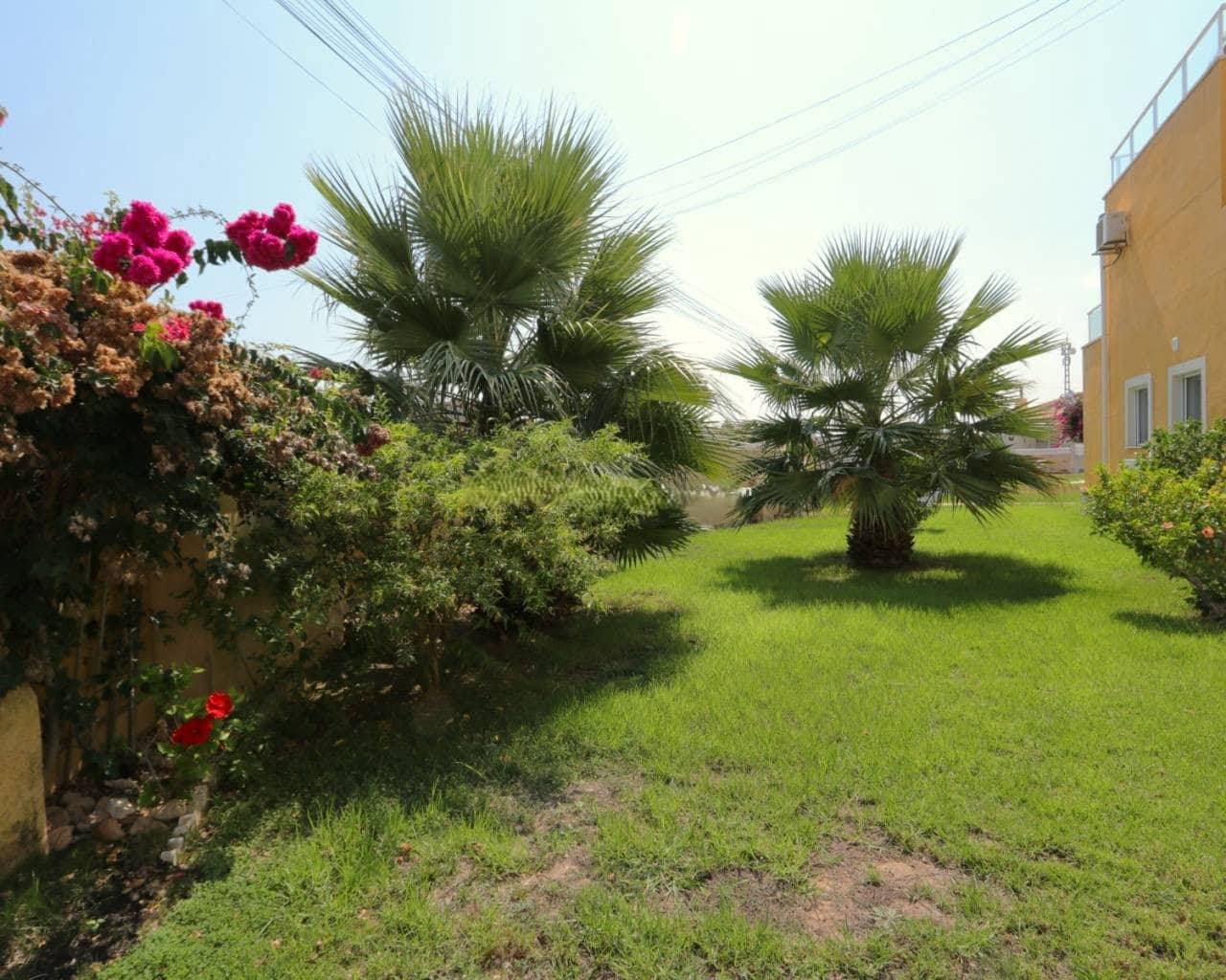 2 Zimmer Villa zu verkaufen in Playa Flamenca mit Pool - 119.000 € (Ref: 9565656)