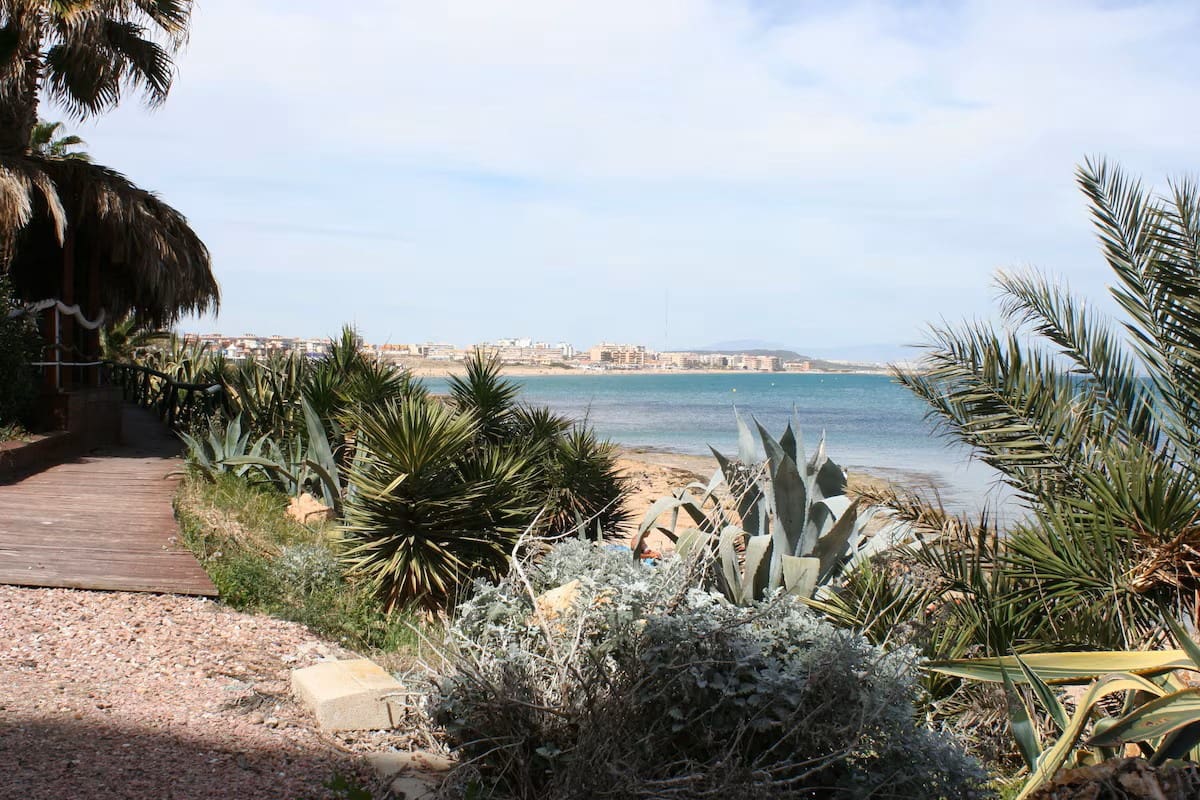 2 slaapkamer Appartement te koop in La Mata met zwembad - € 149.900 (Ref: 9641023)