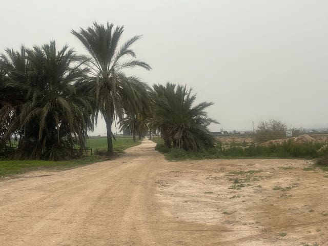 Building Plot for sale in Crevillente / Crevillent - € 349,900 (Ref: 9737330)