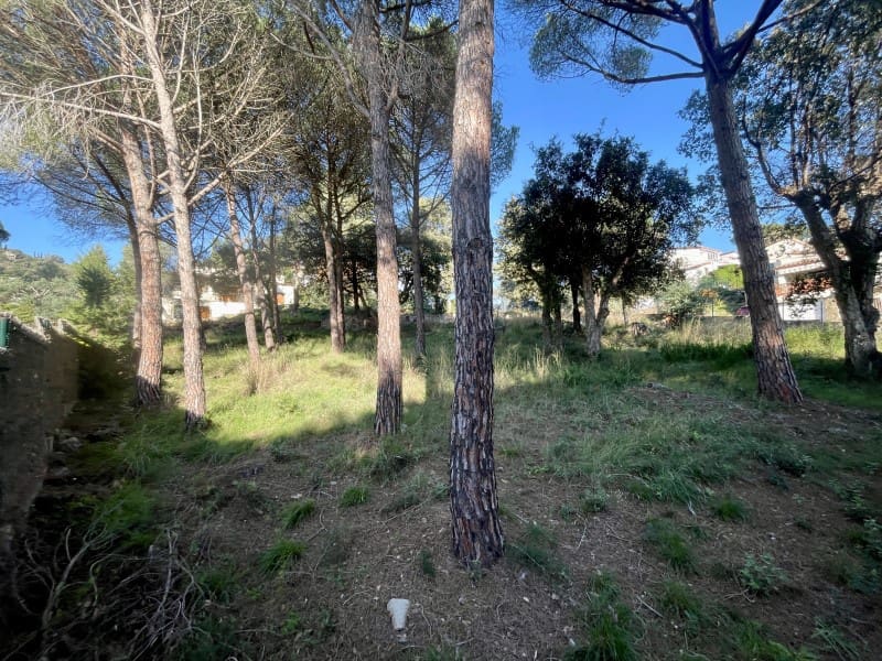 Terrain à Bâtir à vendre à Calonge i Sant Antoni - 220 000 € (Ref: 8693212)