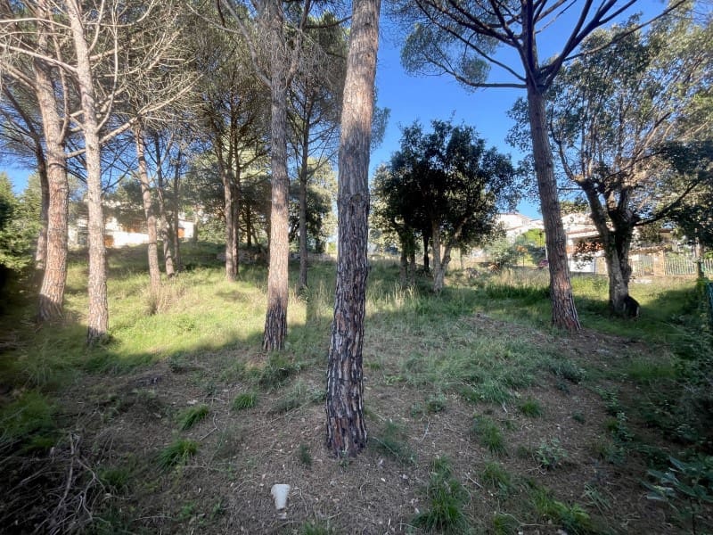 Terrain à Bâtir à vendre à Calonge i Sant Antoni - 220 000 € (Ref: 8693212)