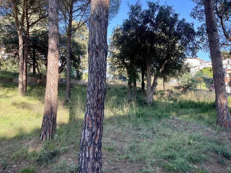 Terrain à Bâtir à vendre à Calonge i Sant Antoni - 220 000 € (Ref: 8693212)