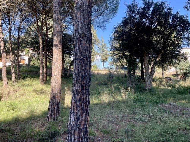 Building Plot for sale in Calonge i Sant Antoni - € 220,000 (Ref: 8693212)