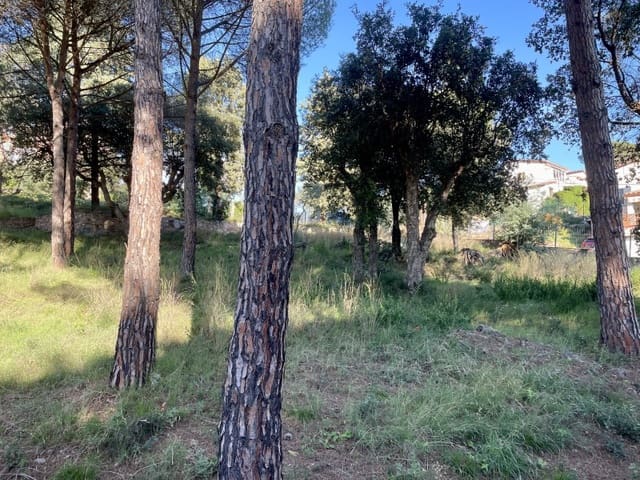 Building Plot for sale in Calonge i Sant Antoni - € 220,000 (Ref: 8693212)