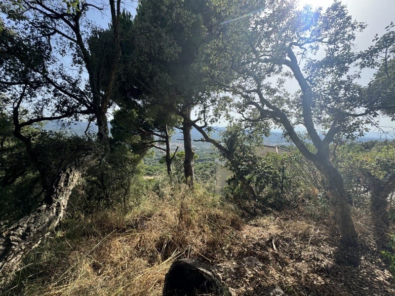 Terreno para Construção para venda em Santa Cristina d'Aro - 89 000 € (Ref: 8756203)