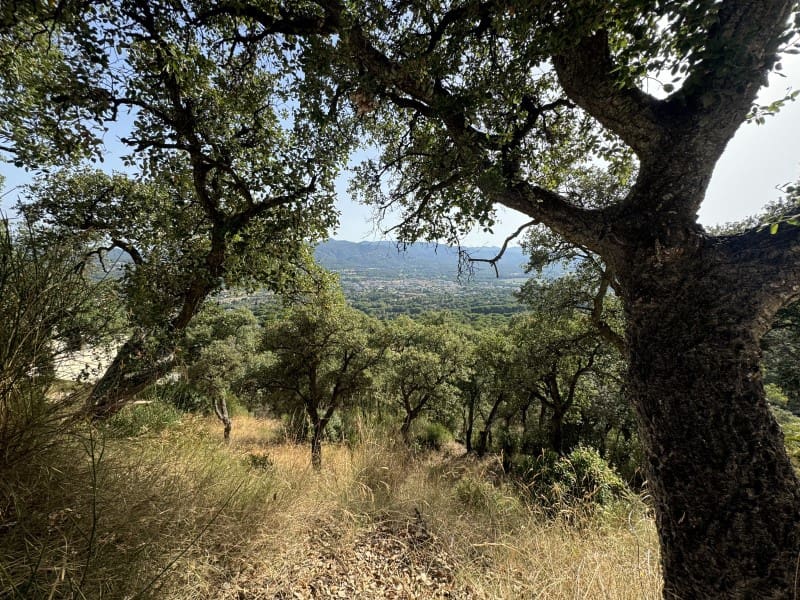 Terreno para Construção para venda em Santa Cristina d'Aro - 89 000 € (Ref: 8756203)