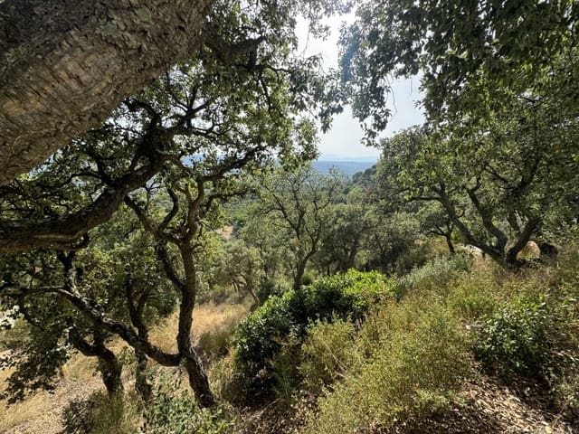 Bauplatz zu verkaufen in Santa Cristina d'Aro - 89.000 € (Ref: 8756203)